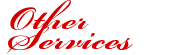 Other Services